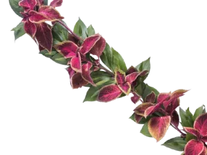 vista de angulo alto de hojas rosadas y verdes sobre fondo blanco removebg preview (1)